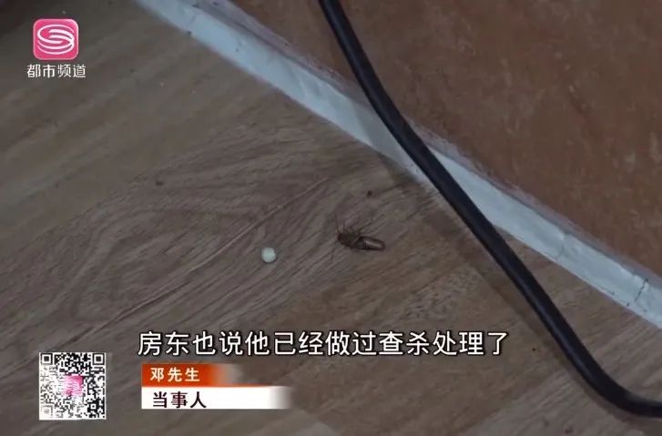 耳朵里进了异物或昆虫，别乱掏