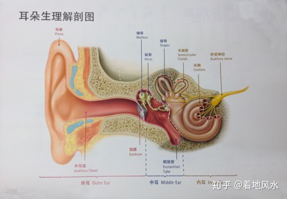 助听器一般多少钱又该如何选择