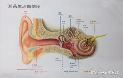 用户分享