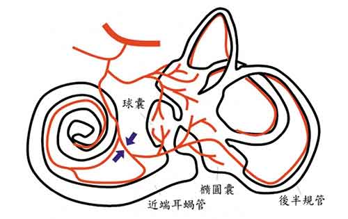 用户分享